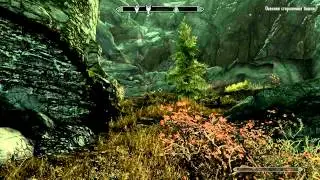 TES V Skyrim. Серия 171 [В поисках кровушки]