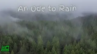 The Magic of Oregon's Rain Season