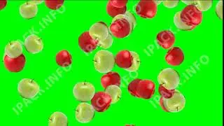 Falling animated red and green apple on green screen background video footage.