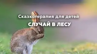 Случай в лесу / Сказкотерапия для детей