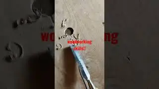 woodworking skills #uk #usa #youtube #tiktok #funny #animals #woodskills #tooltest #comedy #walking