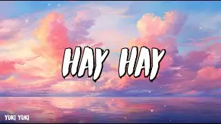 Hadise - Hay Hay - (Şarkı sözü / Lyrics)