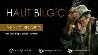 Halit Bilgiç - Ne Vardı da Gittin (Official Audio)