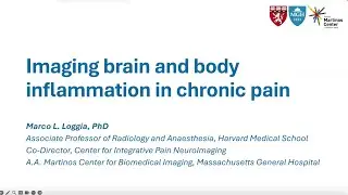 BrainMap: Imaging brain and body inflammation in chronic pain