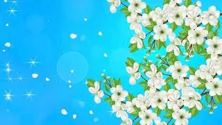 Flower Background Video Effects HD | 4K Animation Leaves Growth Animation Title Screen AA VFX