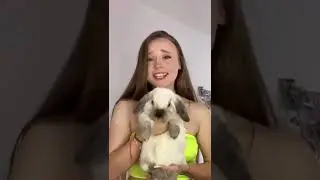 Ванька - встанька🇺🇦 кролик - козак🐇