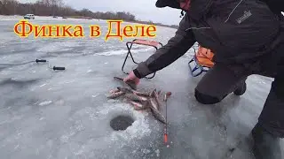 Ловля Окунь на БОМБУ 💣 СНАСТЬ Удивительная