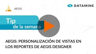 Tip de la Semana: AEGIS - Personalización de vistas en los reportes de Aegis Designer