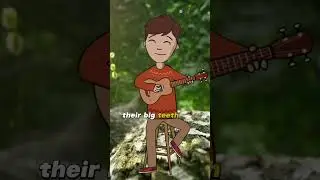 The Music Man Lions from ‘Funky the Green Teddy Bear’ by Oxbridge Baby 