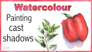 Painting Cast Shadows in watercolor - Tips for beginners 🌶