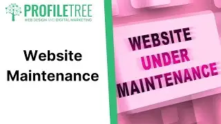 Website Maintenance | The Importance of Website Maintenance | Website Updates | Website Management