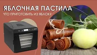 ПРОСТОЙ РЕЦЕПТ ЯБЛОЧНОЙ ПАСТИЛЫ ДОМА | Яблочная пастила без сахара в сушилке Hyundai HYFD-1205