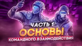 Основы Командной Игры | Часть 1 | WARFACE