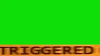 TRIGGERED [GreenScreen]