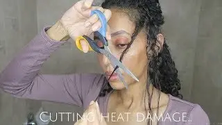 CUTTING MY HEAT DAMAGED ENDS