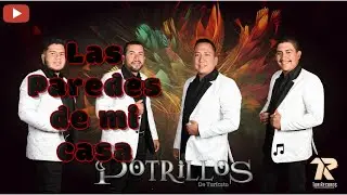 Los Potrillos de Turicato - Las paredes de mi casa