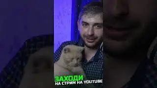 КОТ СТРИМЕР горе в семье... 