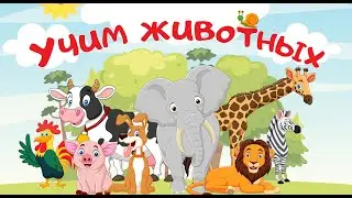 Учим животных. Изучаем животных в зоопарке и на ферме. Развивающие мультики для детей и малышей