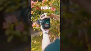 Komposisi foreground pada foto menggunakan mirrorless dan dslr
