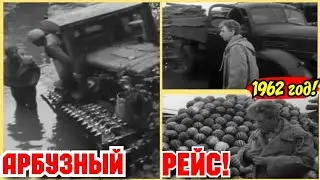 ✔ СССР 1965 ГОД - АРБУЗНЫЙ РЕЙС. КОРОТКОМЕТРАЖНЫЙ ФИЛЬМ