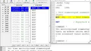 Комментарии в Ассемблере
