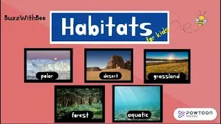 Habitats for Kids - Learn about Polar, Desert, Forest, Grassland and Aquatic Habitats.