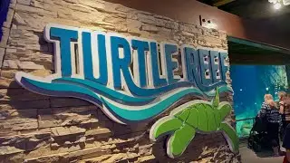 Turtle Reef at SeaWorld San Antonio Texas