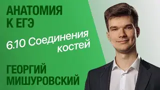 6.10. Соединения костей: неподвижные, полуподвижные, суставы | Анатомия к ЕГЭ | Георгий Мишуровский