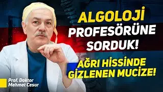 Ağrı Hissinde Gizlenen Mucize! Musibetler Nimet mi Azap mı?Algoloji Prof. Dr. Mehmet Cesur'a Sorduk