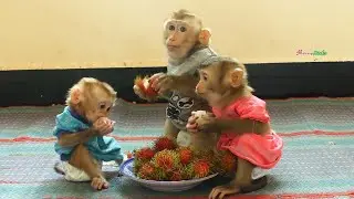 Three Adorable Very Happy To Join A Small Party