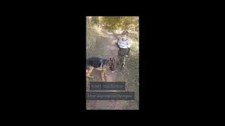 Клип про Бэссту 2024 года!