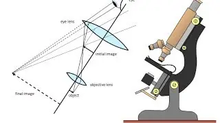 How to calculate microscope image size