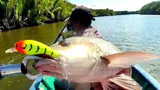 Rezeki Makan Besar !! Tarikan Agresif Ikan Kakap Muara dkk Saat Mancing di Waktu Surut