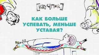 Как больше успевать, меньше уставая? — Научпок