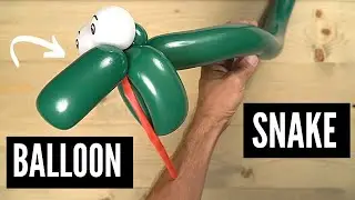 Balloon Snake: Easy to Make and Looks AMAZING