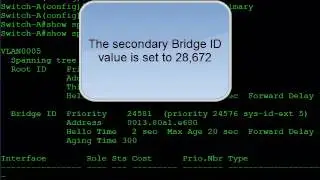 018 Spanning Tree Configuration  Verification