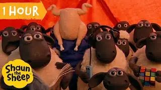 1 HOUR Shaun the Sheep Top Moments from Season 1