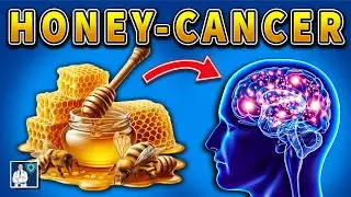 Never eat honey with this 🍯 it causes cancer and memory loss! 3 healthy ways to eat! #Dr. John 🐝