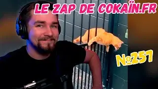 РЕАКЦИЯ ДИКТОРА | Le Zap de Cokaïn.fr n°257