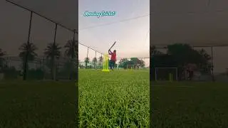 Morning Cricket #viral #shorts #ytshorts #turfcricket #nightcricket