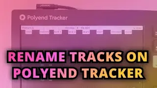 How to edit track names on Polyend Tracker