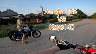 Альфа 125 против Kayo 140