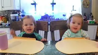 Twins try granola minis