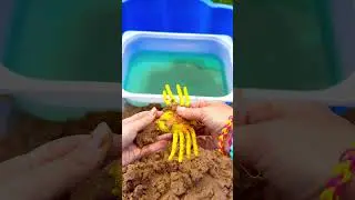 Find Bug Toys in Sand | Learn Bug Insect Names for Babies Kids: Centipede Slug Spider Ladybug Bee