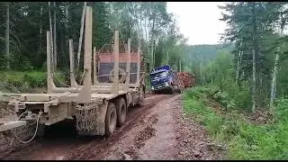 Попытка вытащить лесовоз VOLVO