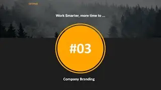 SoftPeak #3 - Company Branding