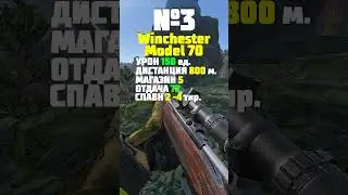 Какая СНАЙПЕРСКАЯ ВИНТОВКА самая Лучшая в DayZ 