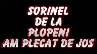 SORINEL DE LA PLOPENI   AM PLECAT DE JOS 2014