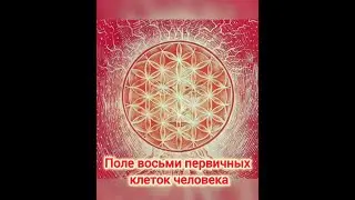 Ченнелинг. Общение с полем восьми первичных клеток человека. Сеанс регрессивного гипноза.