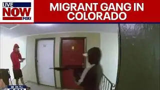 Heavily-armed 'migrant gang' takes over apartment building in Colorado